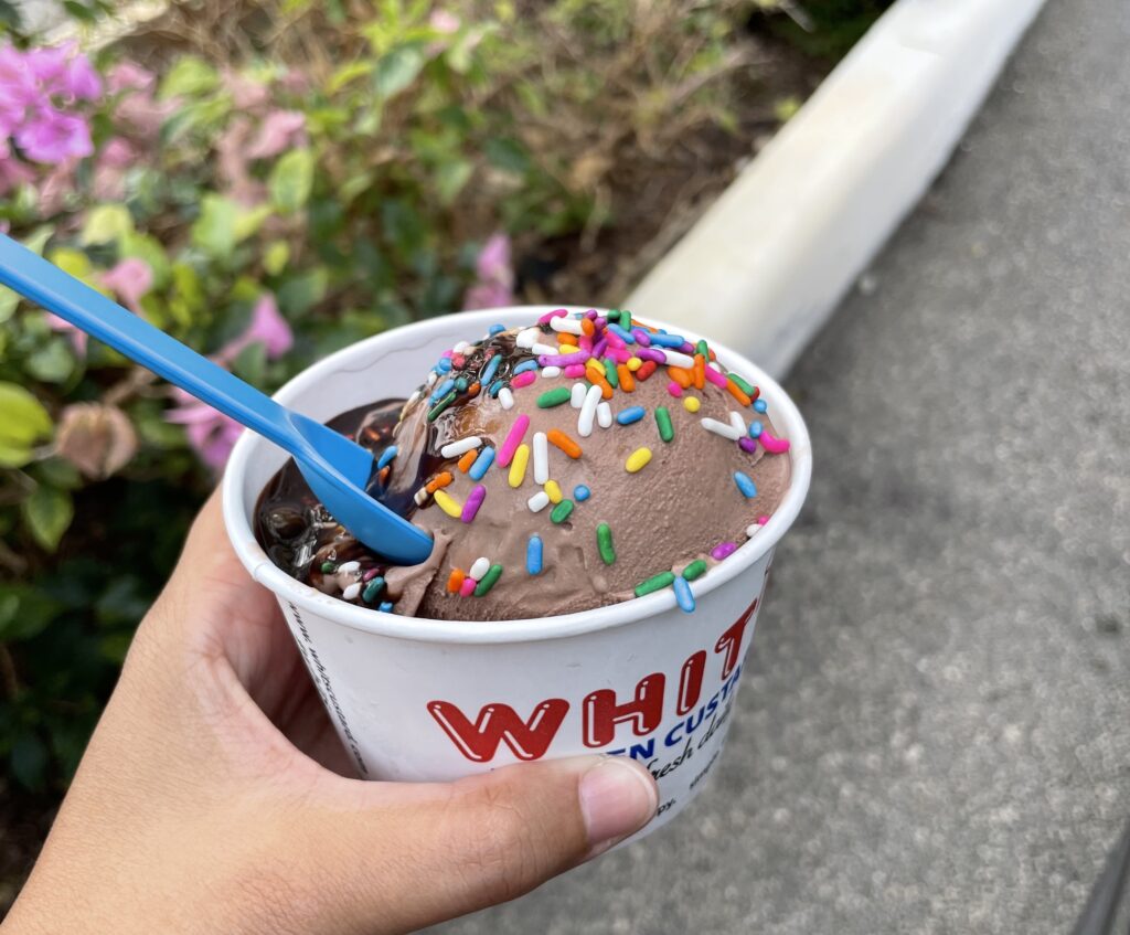 Best Ice Cream In Boca  Where To Find Ice Cream Near me